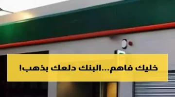 البنك الأهلي يطلق شهادة استثمارية بعائد 5016 جنيه شهريًا لعام 2025